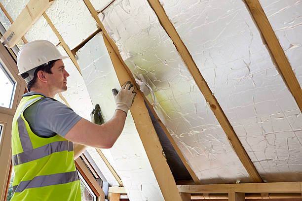 Best Energy Efficiency Solutions in Catonsville, MD