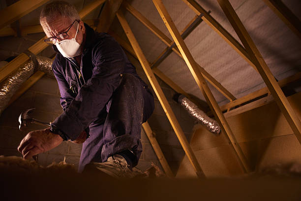 Best Insulation for Specific Applications in Catonsville, MD